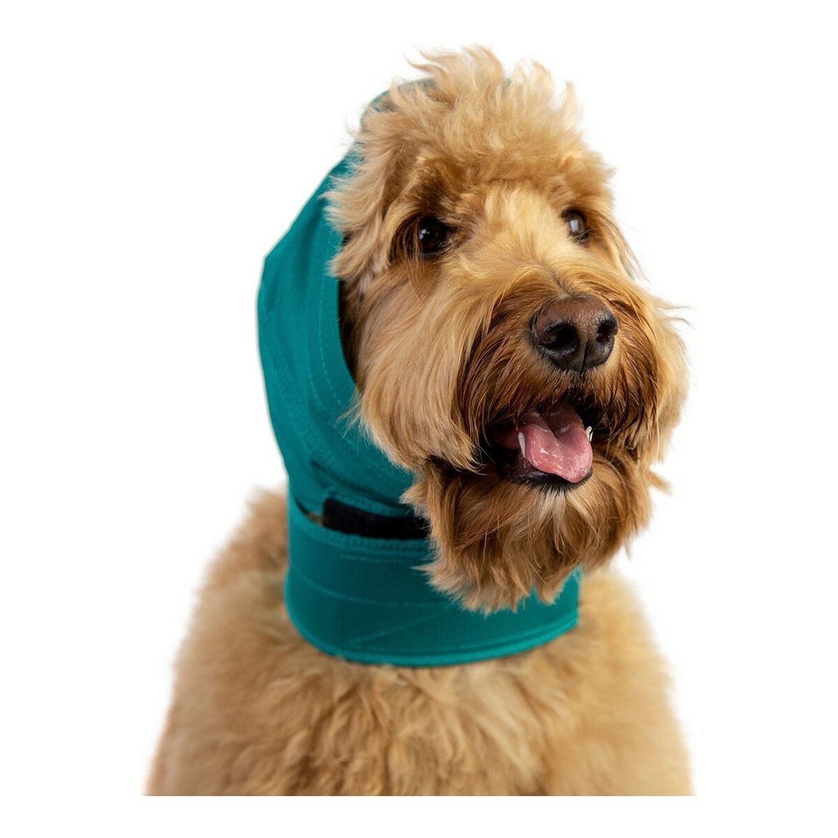 /359488/protecteur-d-oreilles-pour-chiens-kvp-vert-taille-s.jpg