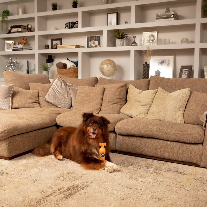 image imprimée ou numérique