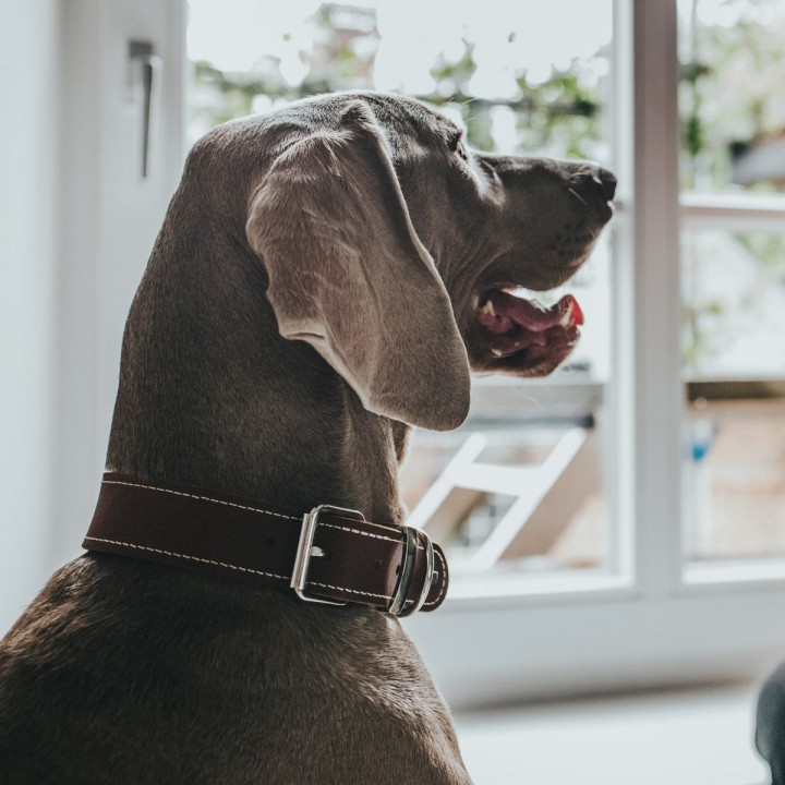 image imprimée ou numérique