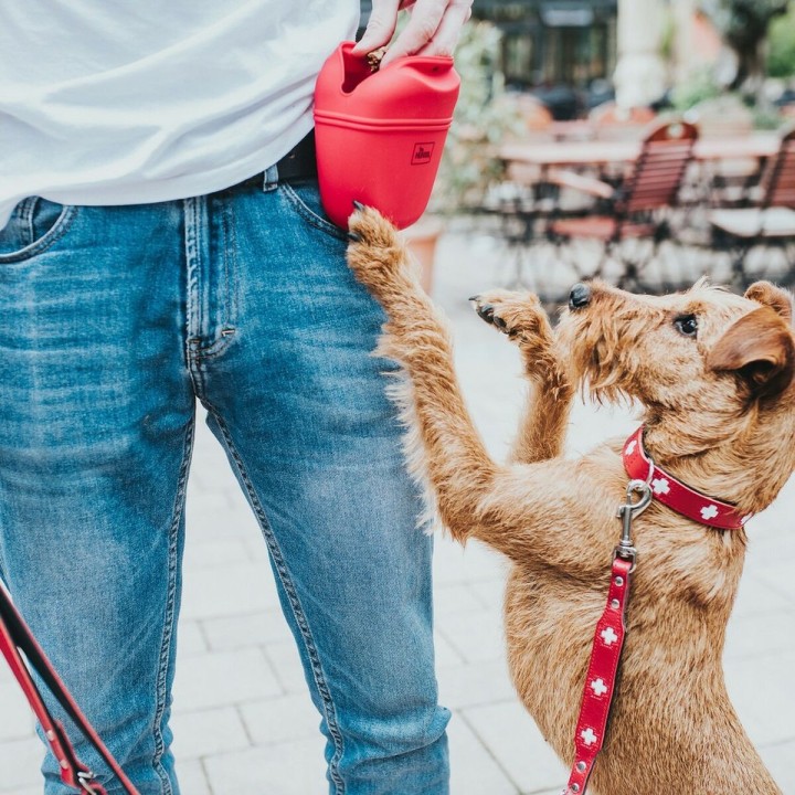 image imprimée ou numérique