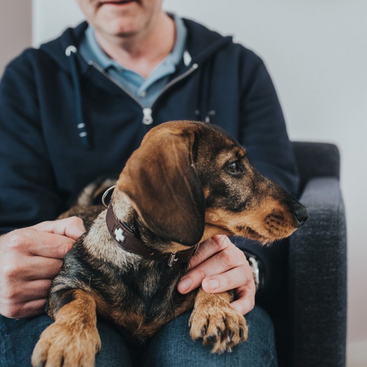 image imprimée ou numérique