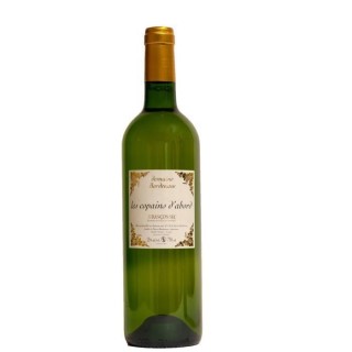 Domaine Bordenave Les Copains d'Abord 2017 Jurançon - Vin blanc du Su