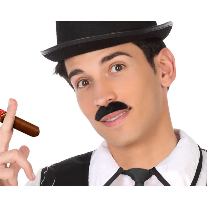 Carte postale microlorge