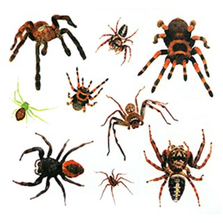 Carte postale microlorge