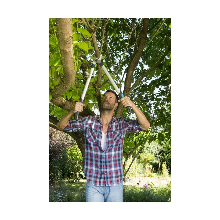 Carte postale microlorge