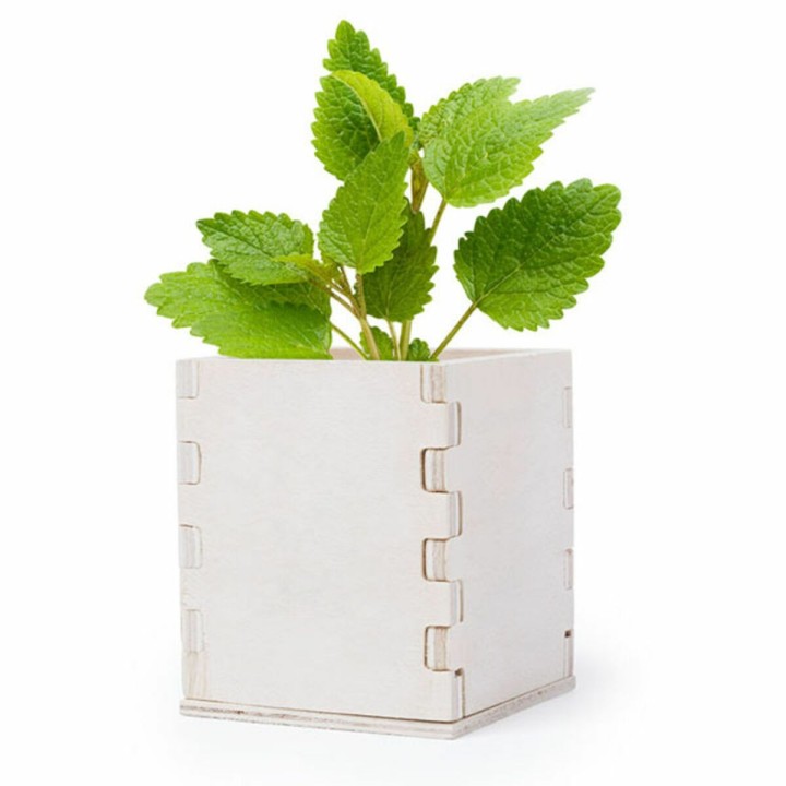 Carte postale microlorge