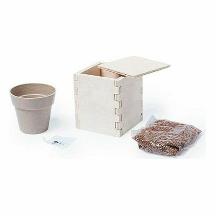 Carte postale microlorge