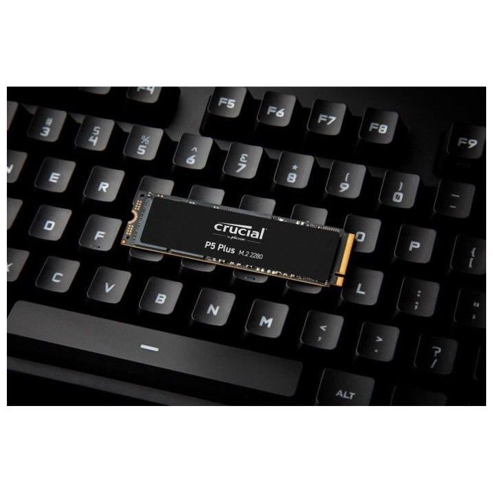 CRUCIAL - SSD Interne - P5 Plus - 1To - M.2 Nvme (CT1000P5PSSD8)