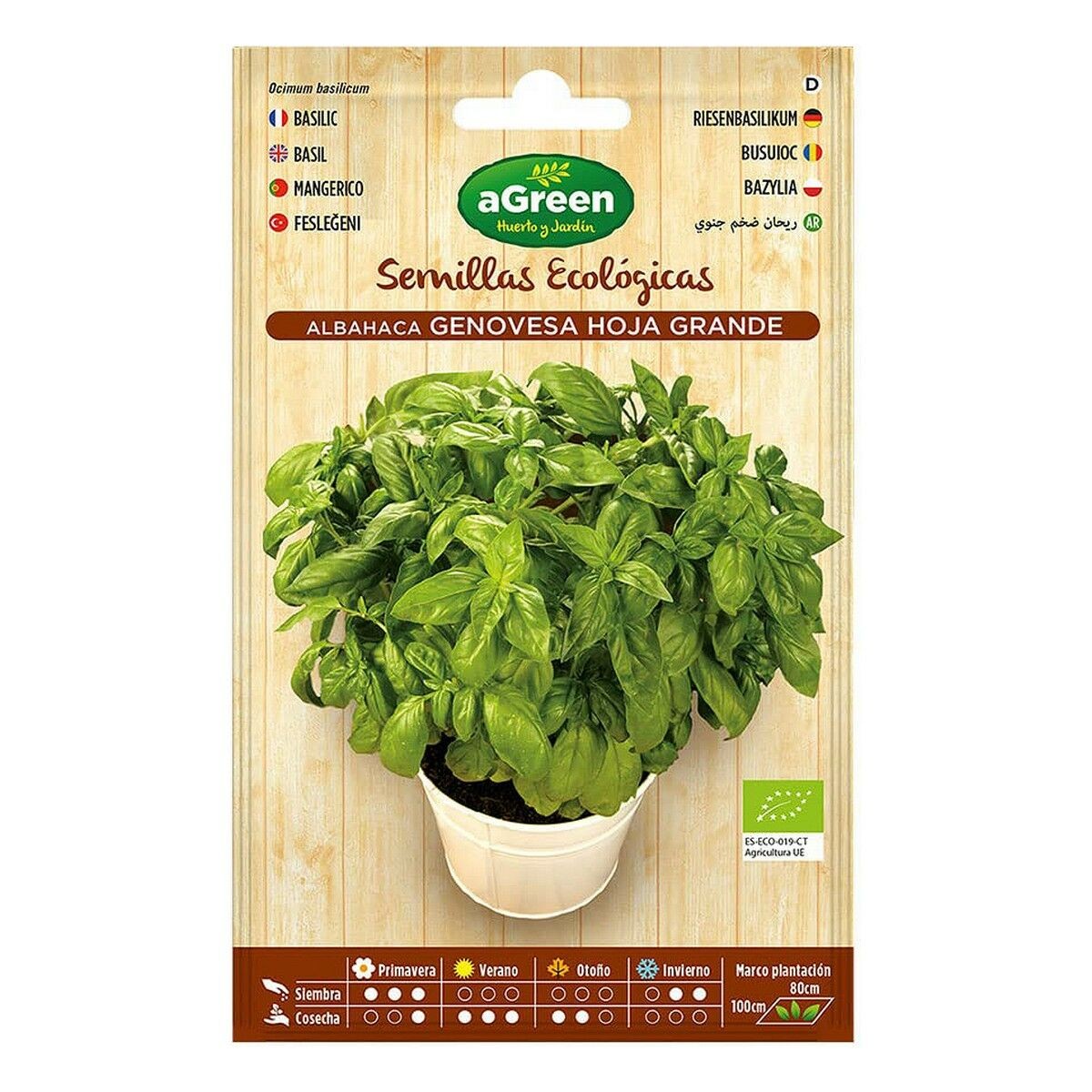 /372699/graines-agreen-ecologique-basilic.jpg