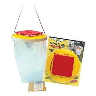 Carte postale microlorge