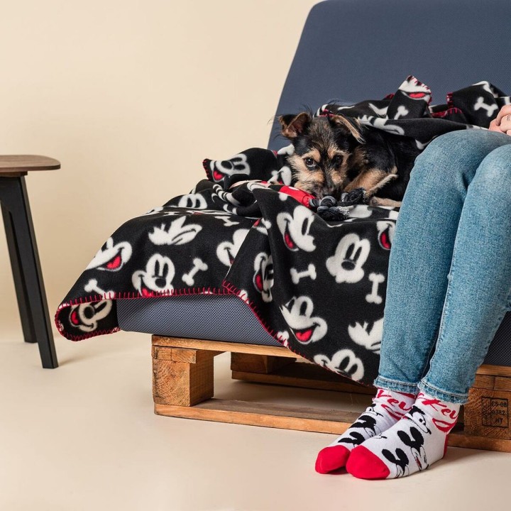 Carte postale microlorge