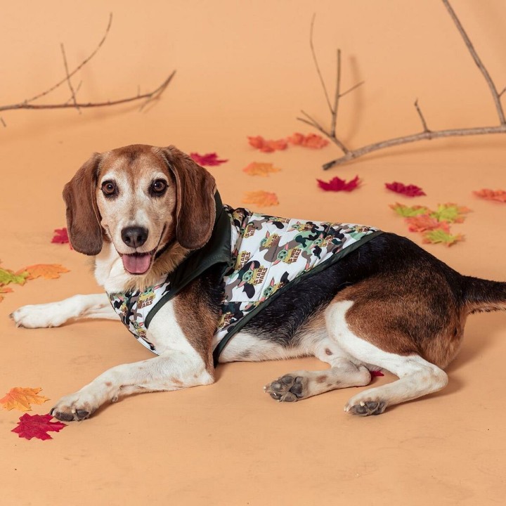 image imprimée ou numérique