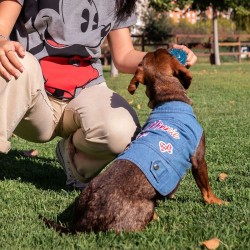 Veste pour chien Minnie Mouse Bleu M