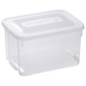 CURVER | HANDY 12L, Rangement, Transparent, 40 x 29 x 14 cm