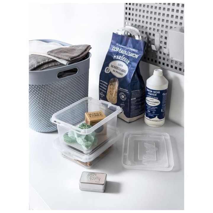 CURVER | HANDY 2L, Rangement, Transparent, 21,5 x 17 x 10,4 cm