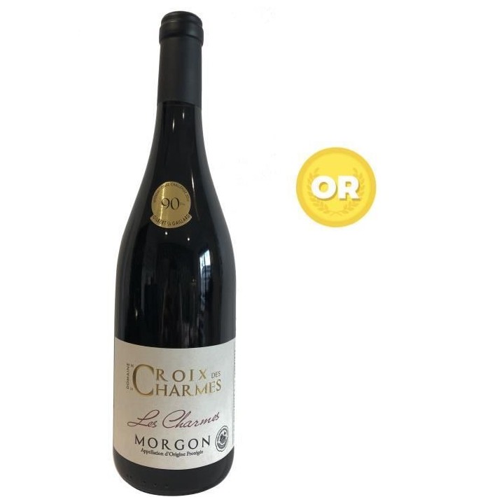 Domaine de la Croix des Charmes 2018 Morgon - Vin rouge de Bourgogne