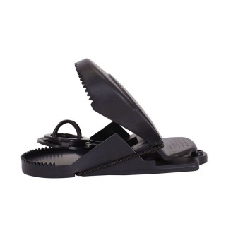 Carte postale microlorge