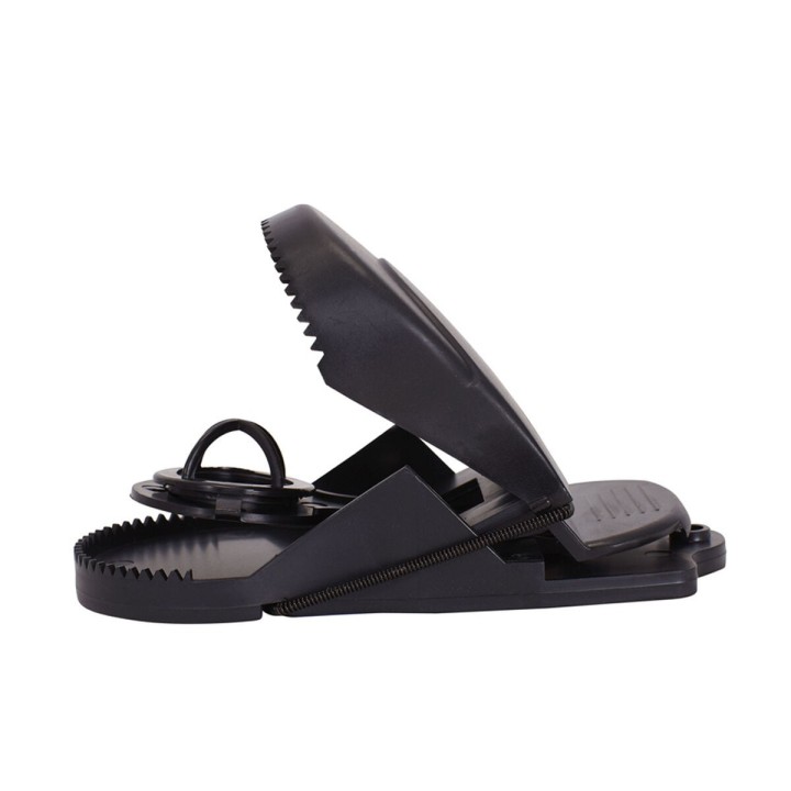 Carte postale microlorge