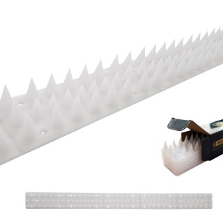 image imprimée ou numérique