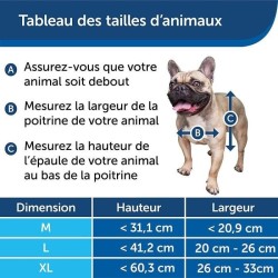 PetSafe - Porte pour Animaux pour Conditions Climatiques Extremes - Triple protection Contre Froid/Chaud, Cadre aluminium, Taill