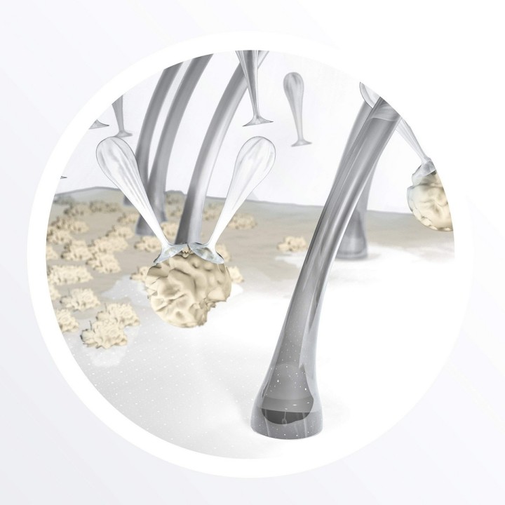 Carte postale microlorge