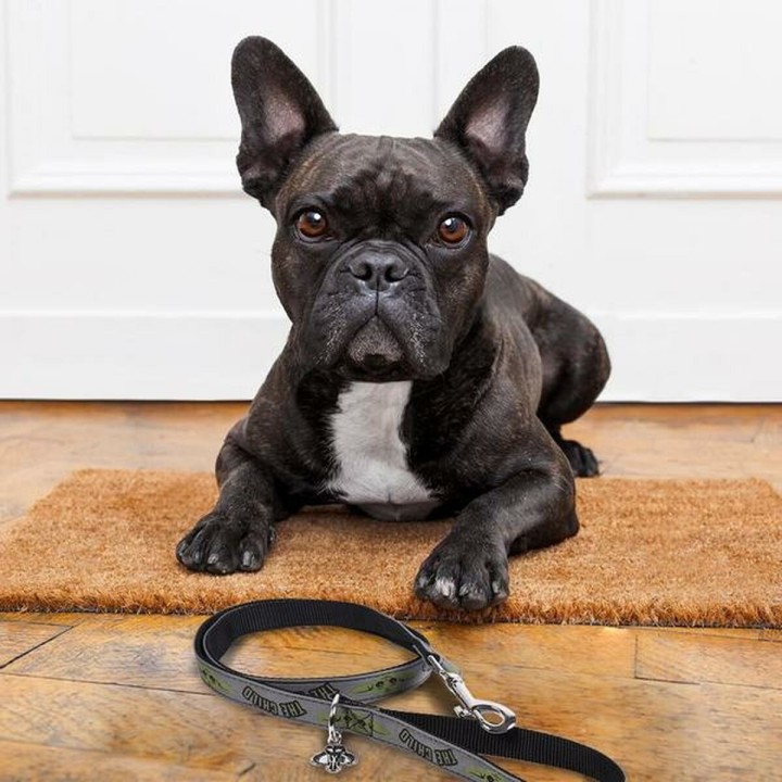 image imprimée ou numérique