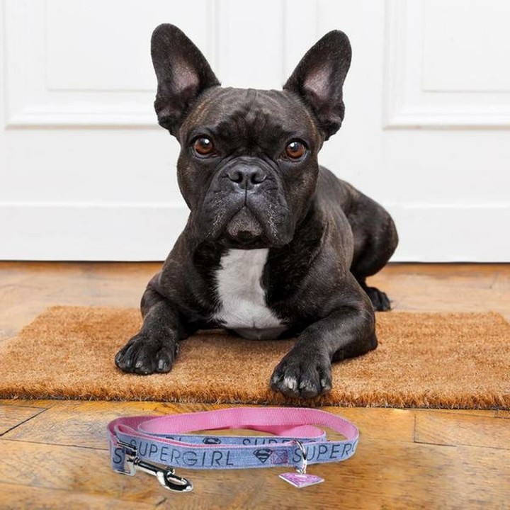 image imprimée ou numérique