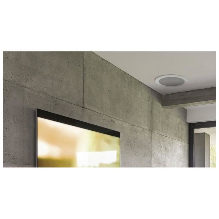DAVIS ACOUSTICS IN-WALL 170 RO Enceinte a encastrer - Puissance max 90