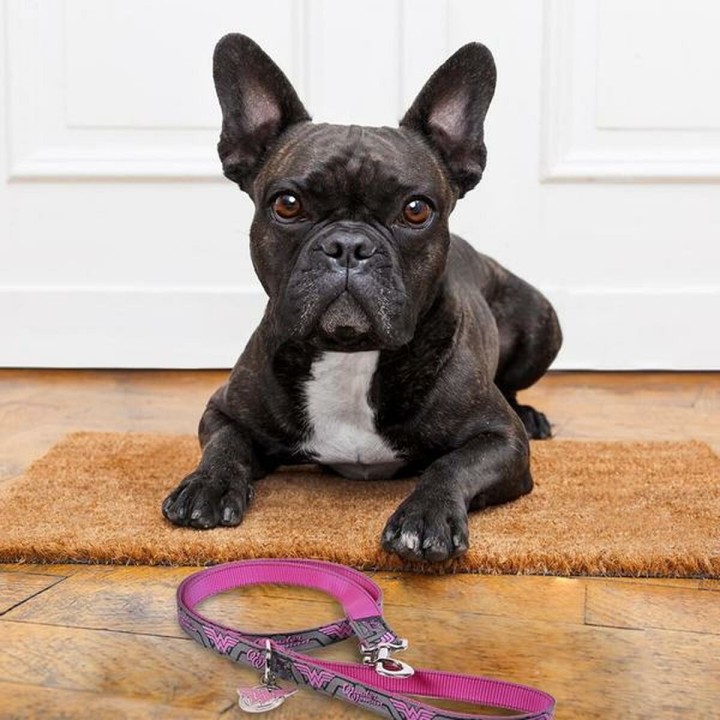 image imprimée ou numérique