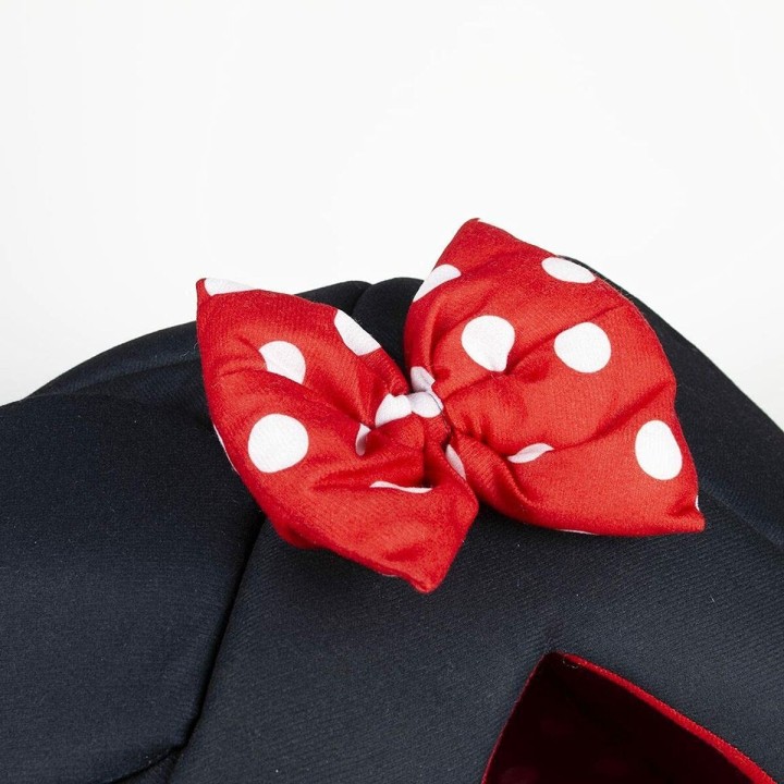 Carte postale microlorge