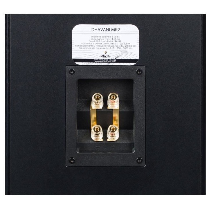 DAVIS ACOUSTICS DHAVANI MK2 - Enceinte colonne - 200W - 3 hauts-parleu