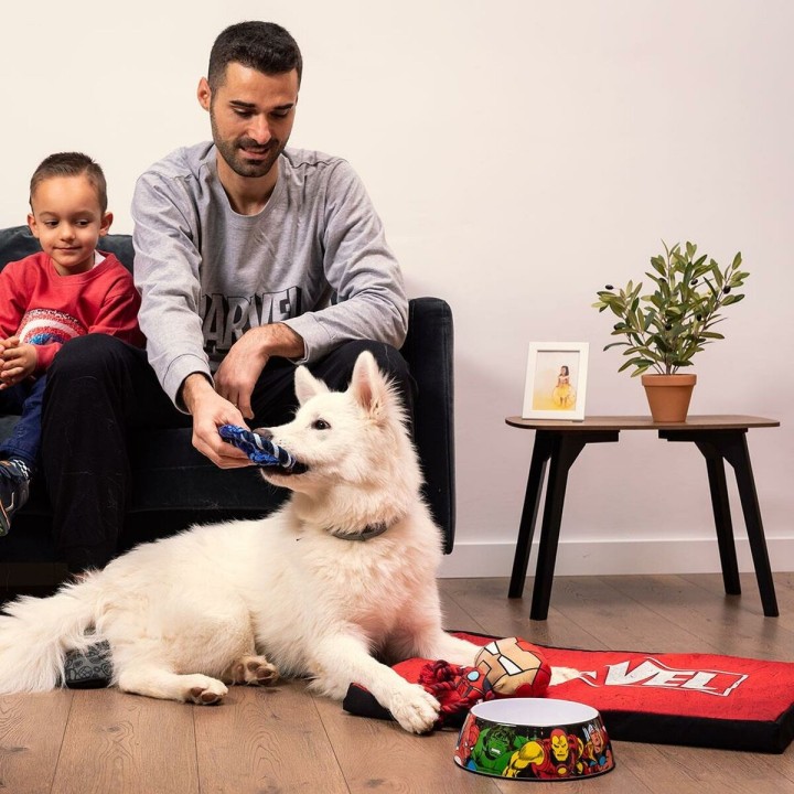 image imprimée ou numérique