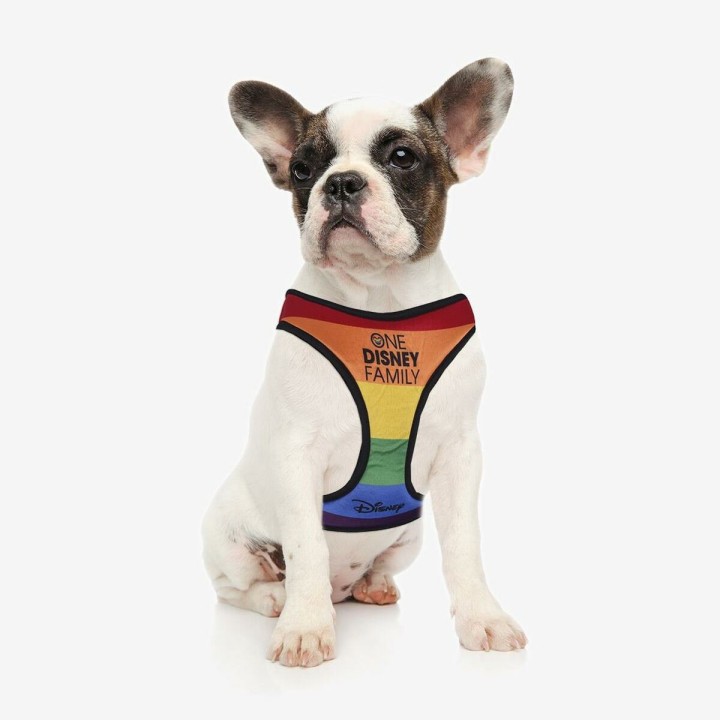 image imprimée ou numérique