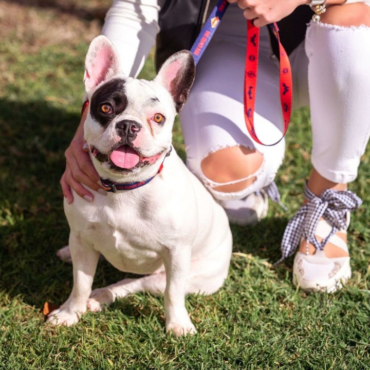 image imprimée ou numérique