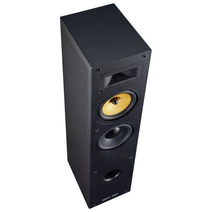 DAVIS ACOUSTICS MANI MK2 - Enceinte colonne - 150W - 3 hauts-parleurs