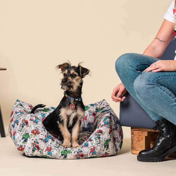 image imprimée ou numérique