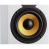 DAVIS ACOUSTICS MIA 20 - Paire d'enceintes bibilotheque - 88dB - 110W - 2 haut-parleurs, 2 voies - Tweeter 25mm - Blanche