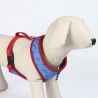 Harnais pour Chien DC Pets Bleu XS/S