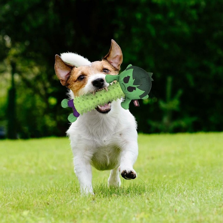 Carte postale microlorge