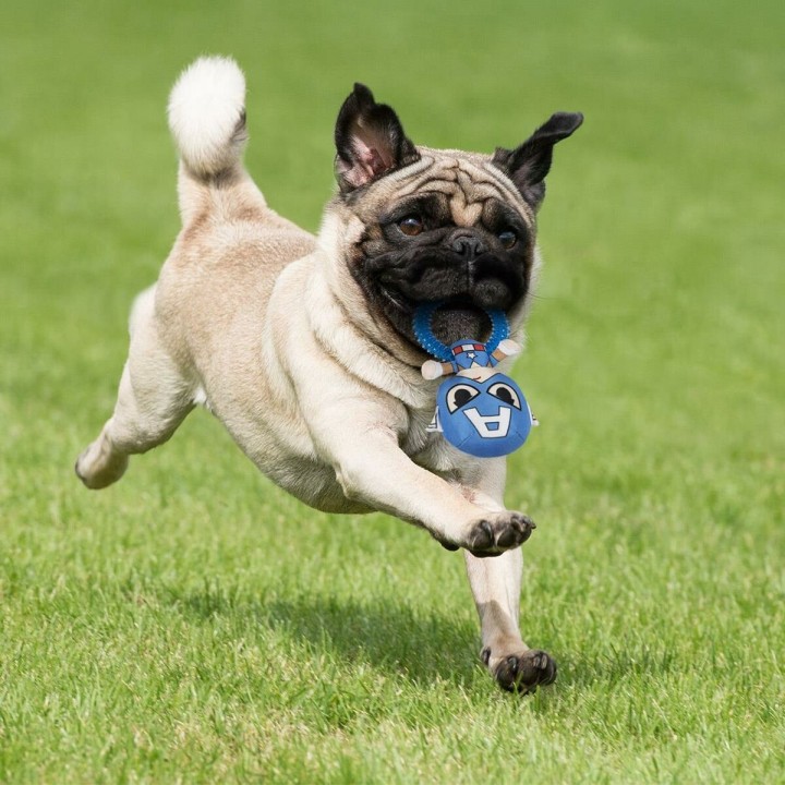 Carte postale microlorge