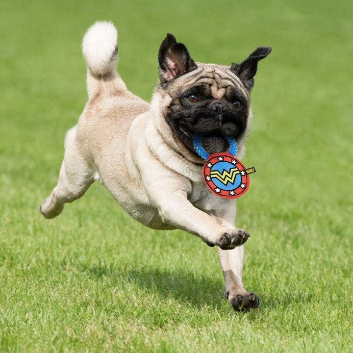 Carte postale microlorge