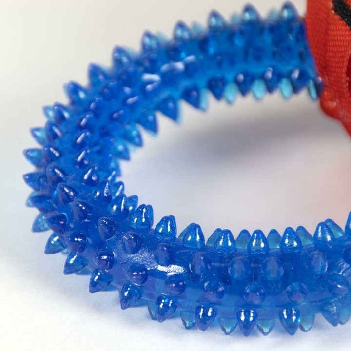 Carte postale microlorge