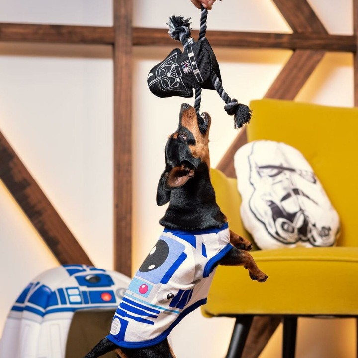 Carte postale microlorge