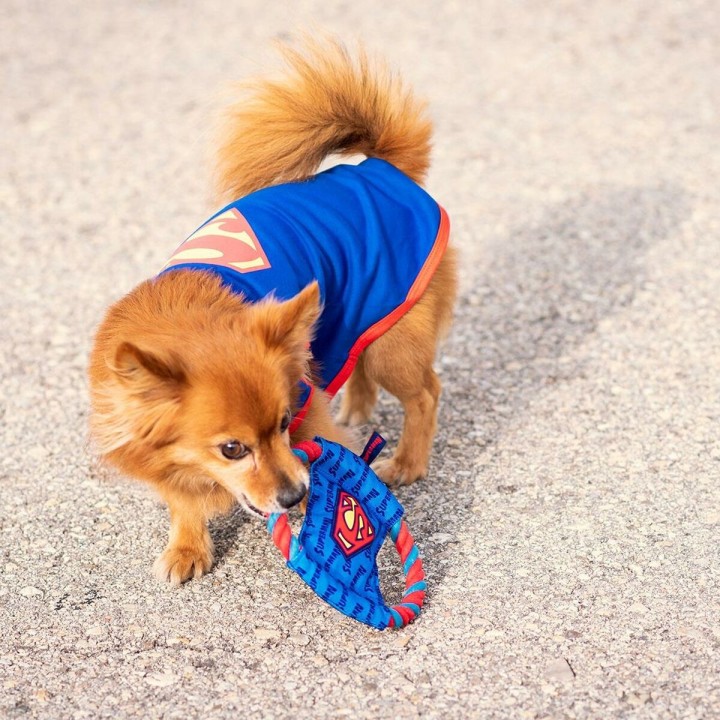 Carte postale microlorge