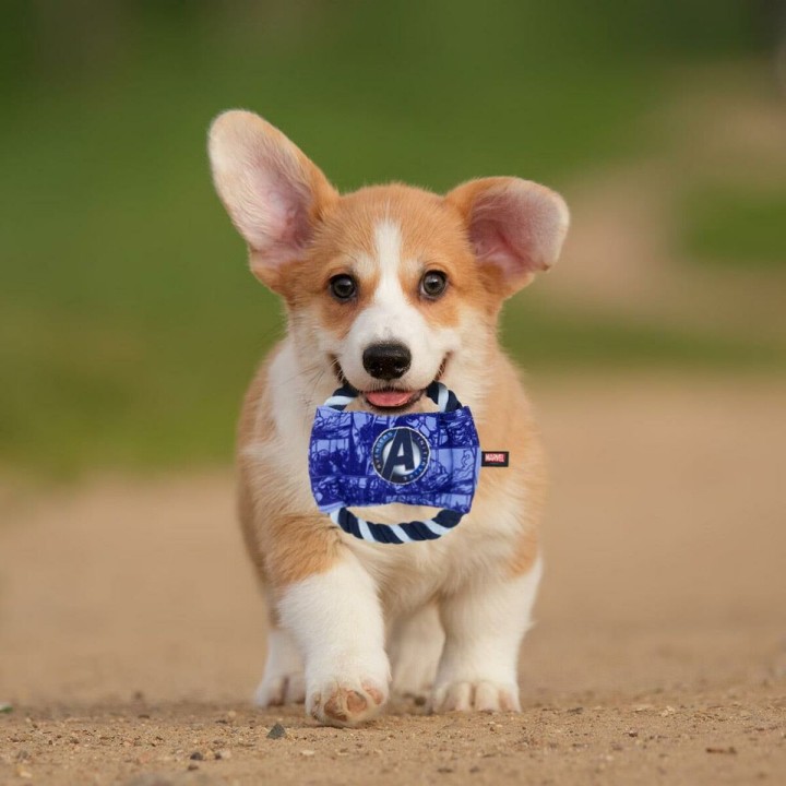 Carte postale microlorge