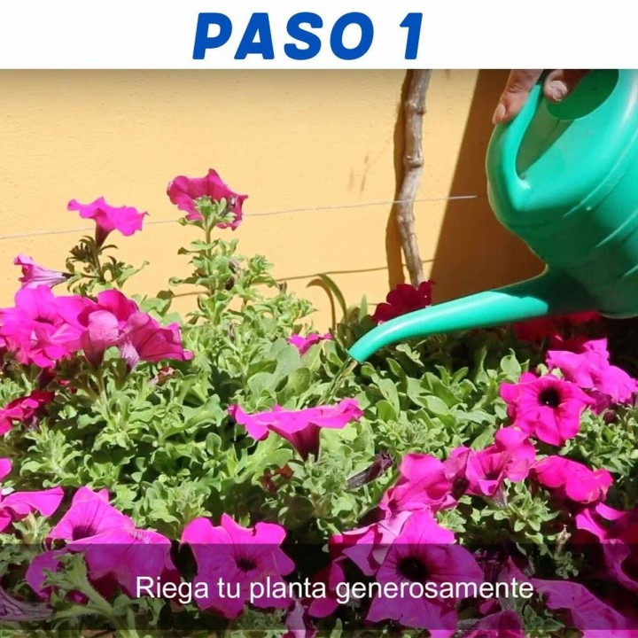 image imprimée ou numérique