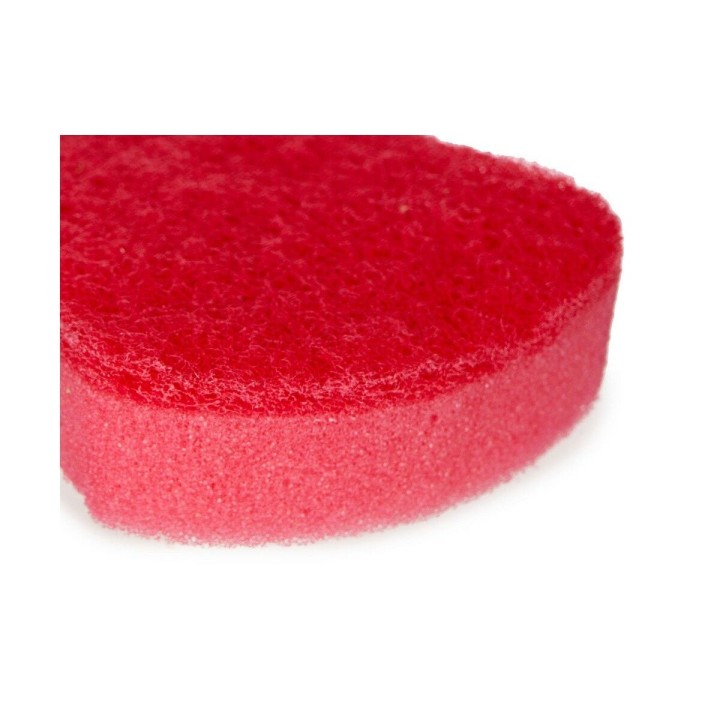 Carte postale microlorge