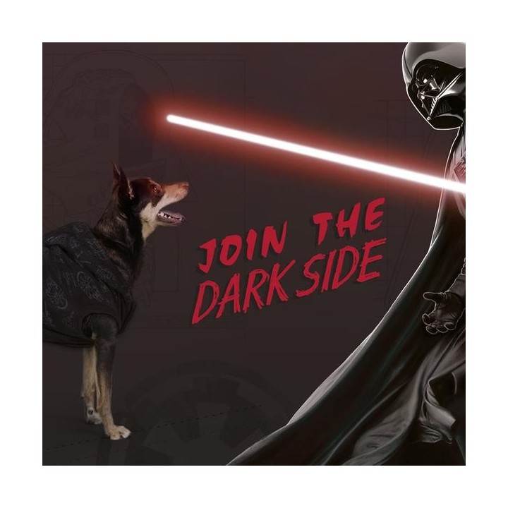 image imprimée ou numérique