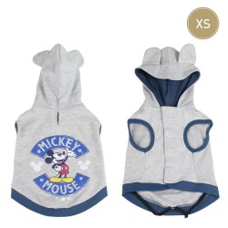 Pull pour Chien Mickey...