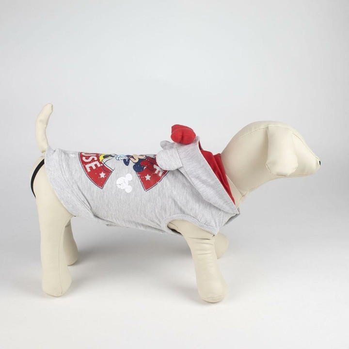 Carte postale microlorge